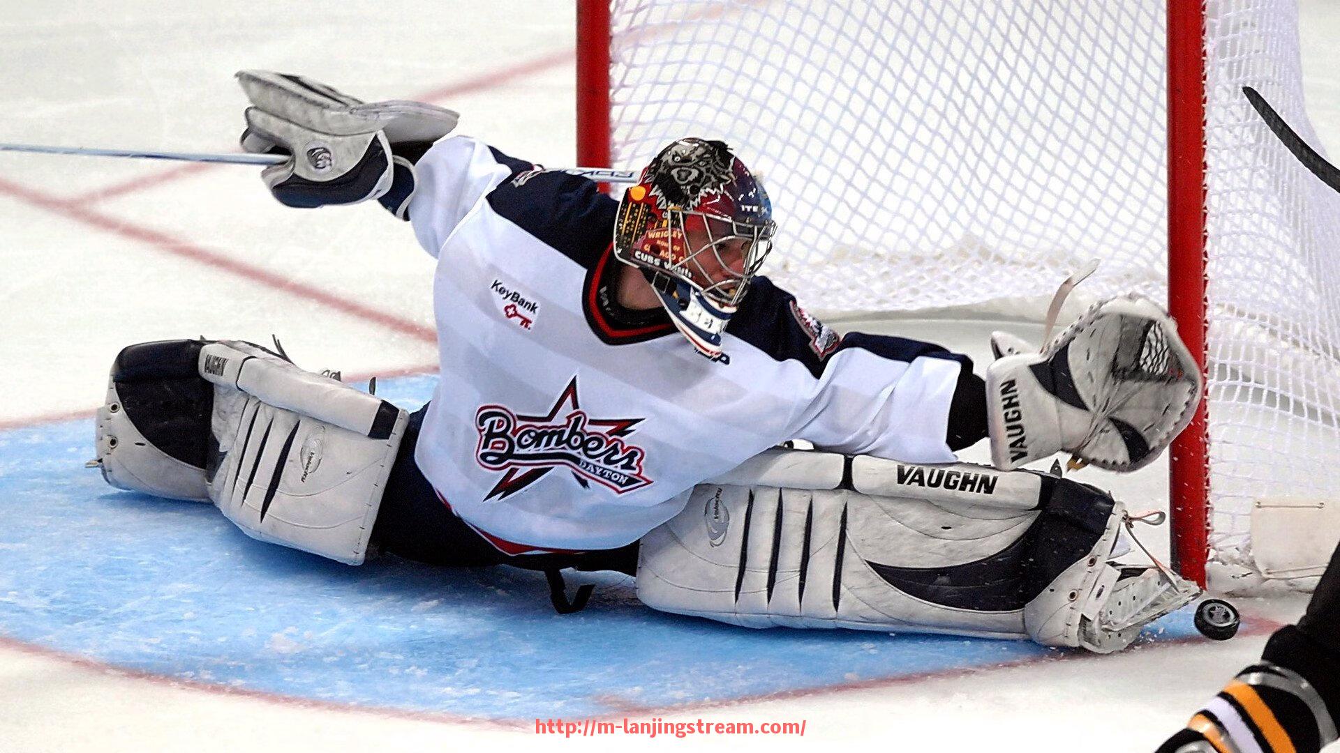 蓝鲸体育直播-世俱杯赛事志愿者培训体系建设与培训内容解析